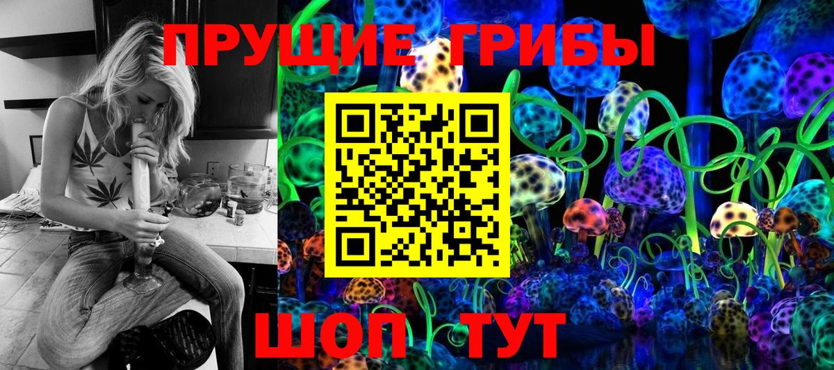 Псилоцибиновые грибы GOLDEN TEACHER  Вход с VPN  Вологда 